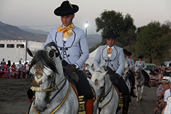 El mejor espectculo ecuestre no falta a su cita con la Feria